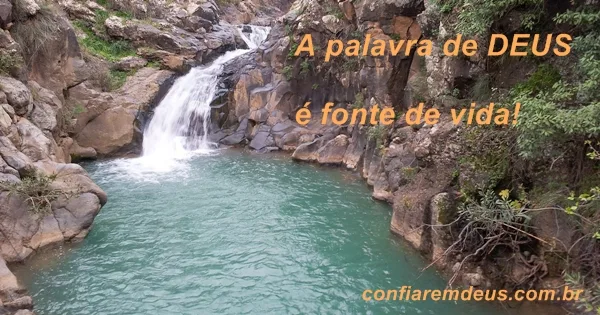 A palavra de Deus é fonte de vida
