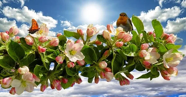 com a benção de Deus, flores e frutos florescerão!